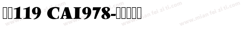 字体119 CAI978字体转换